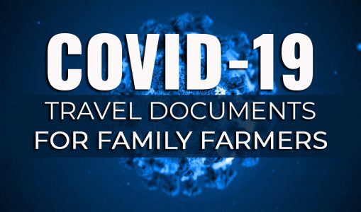 COVID-19 LEVEL 4 regulations for SA horse owners – via SAAI