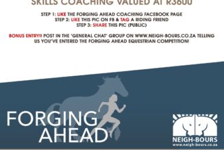 WIN 6 x mental skills coaching sessions  from Forging Ahead Equestrian Mental Skills Coaching valued at R3600!