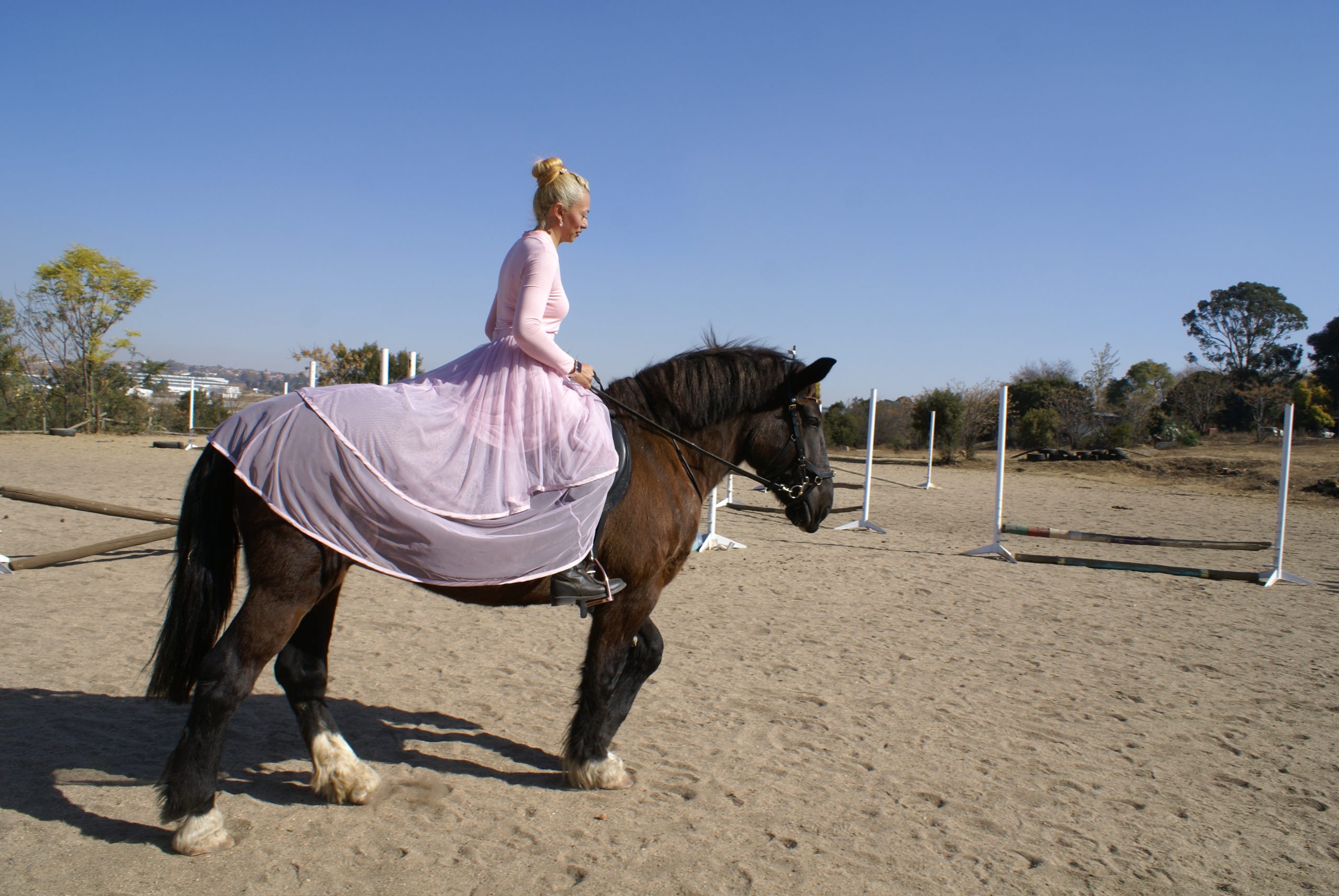 The princess and her noble steed - the ever so elegant Tamsyn Mountjoy and Amber