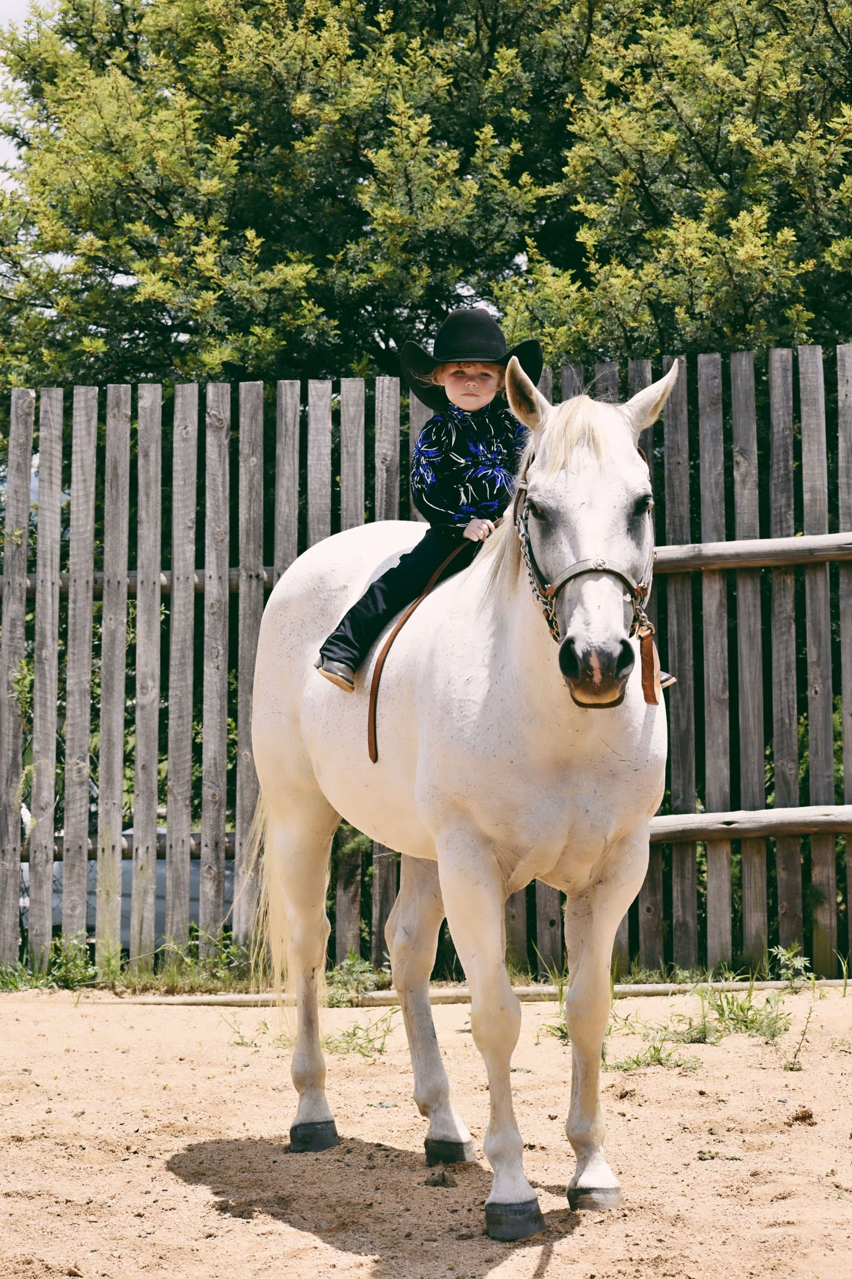 🤠 YEE-HAH! Alethea Vermeulen, wearing a western outfit on her QH gelding Bronco Captain Cape