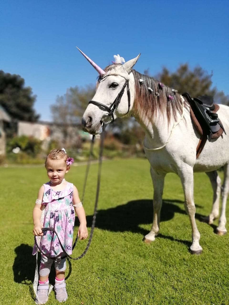 Fairy Princess Tracy de Jager with her unicorn steed, the Nooitgedachter mare Bellisimi Cavalli Eadan 🧚