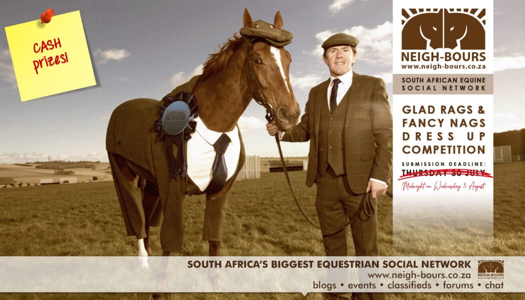 Deadine for the Neigh-Bours’ Glad Rags & Fancy Nags Online Dress Up Competition extended