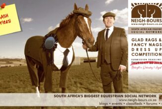 Deadine for the Neigh-Bours’ Glad Rags & Fancy Nags Online Dress Up Competition extended