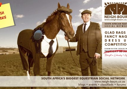 All the entries for the  Neigh-Bours’ Glad Rags & Fancy Nags Online Dress Up Competition
