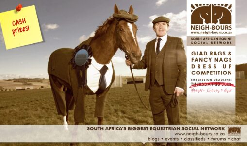 All the entries for the  Neigh-Bours’ Glad Rags & Fancy Nags Online Dress Up Competition