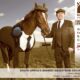 Deadine for the Neigh-Bours’ Glad Rags & Fancy Nags Online Dress Up Competition extended