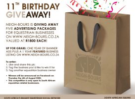 Neigh-Bours 11th Birthday Giveaway!