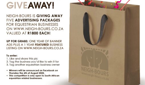Neigh-Bours 11th Birthday Giveaway!