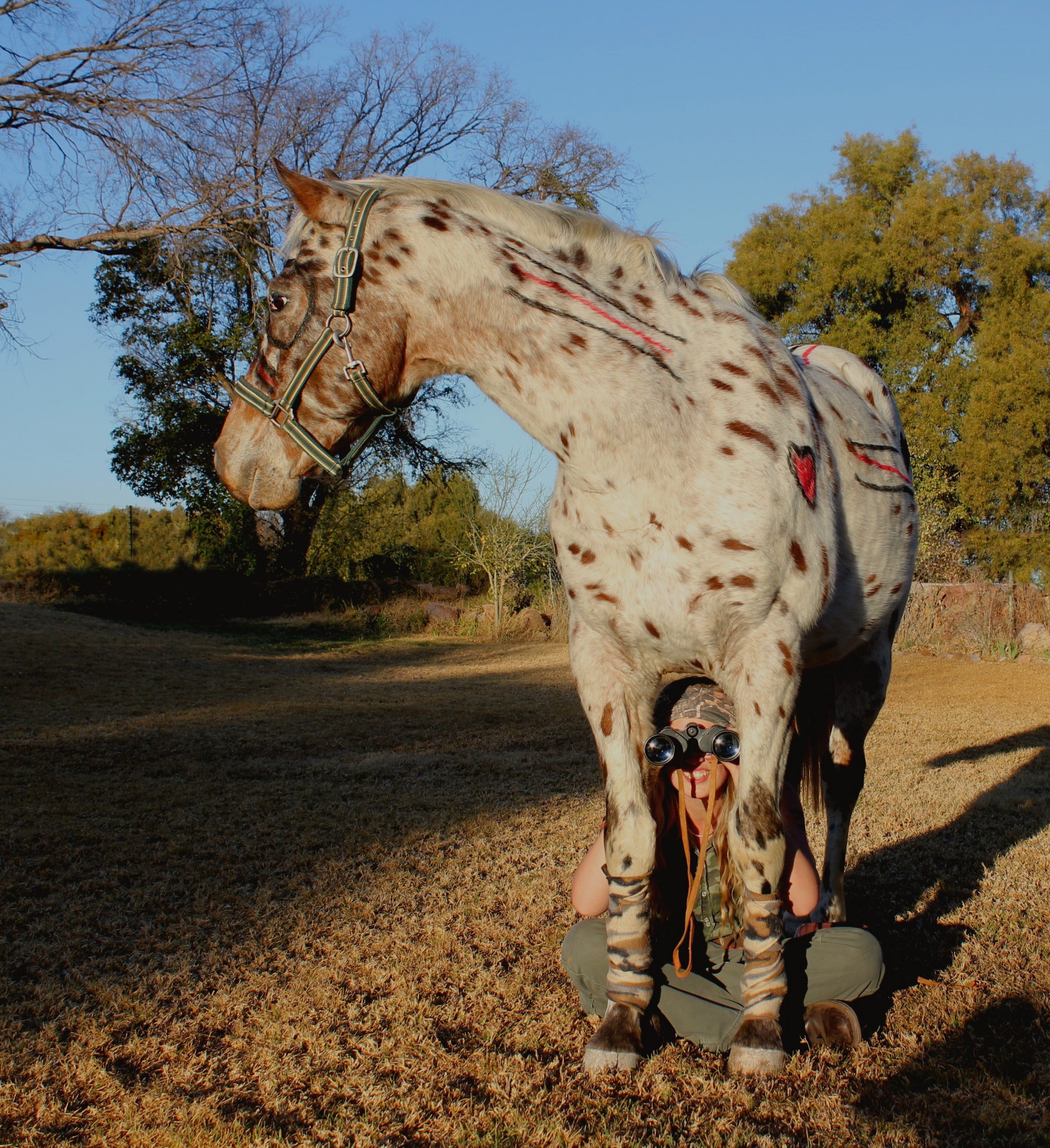 Spot the dots! Any mission is a good mission if your horse is your partner on the battle field! Liani van der Walt with Fair Eagle the spotted army horse