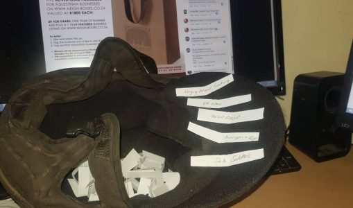 Neigh-Bours’ 11th Birthday Giveaway Winners Announced!