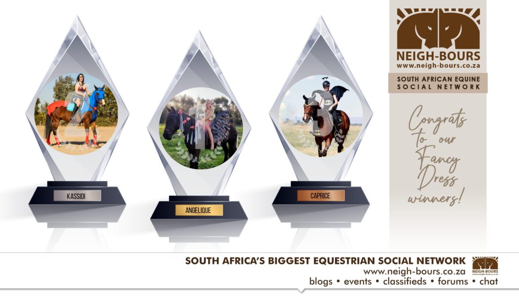 The Winners! Neigh-Bours’ Glad Rags & Fancy Nags Online Dress Up Competition