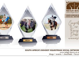 The Winners! Neigh-Bours’ Glad Rags & Fancy Nags Online Dress Up Competition