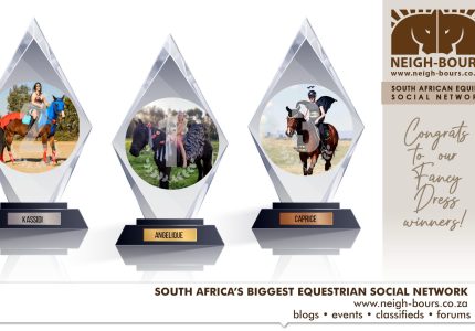 The Winners! Neigh-Bours’ Glad Rags & Fancy Nags Online Dress Up Competition
