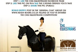 WIN 3 more Riding Simulator Sessions