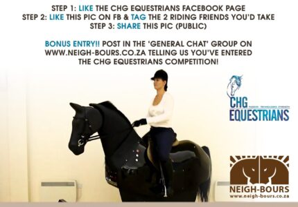 WIN 3 more Riding Simulator Sessions