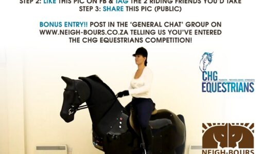 WIN 3 more Riding Simulator Sessions