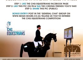 WIN 3 x Riding Simulator Sessions