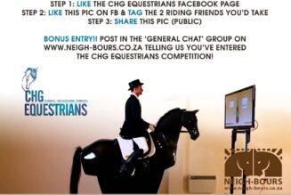 WIN 3 x Riding Simulator Sessions