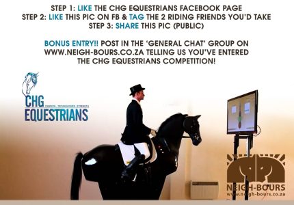 WIN 3 x Riding Simulator Sessions