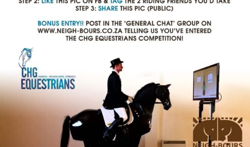 WIN 3 x Riding Simulator Sessions