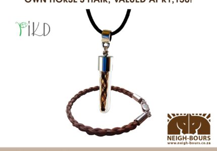 WIN your own horse hair jewellery!