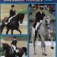 Hall of Fame: Great Dressage Horses 2 (2008)