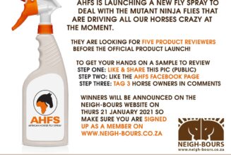 Be one of five Fly Spray product reviewers!