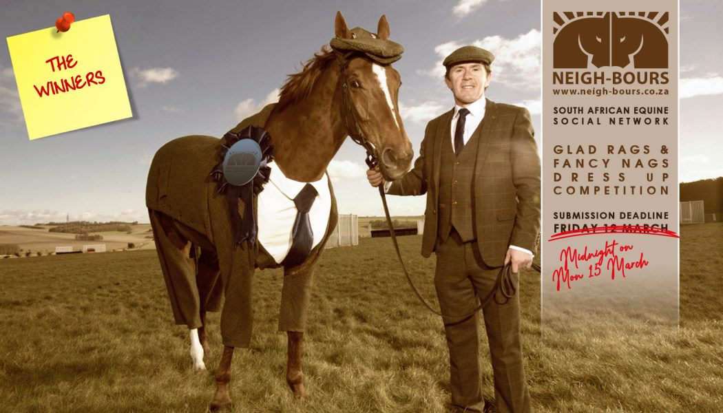 The Winners! Neigh-Bours’ 2nd Glad Rags & Fancy Nags Online Dress Up Competition