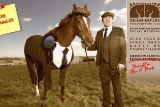 The Winners! Neigh-Bours’ 2nd Glad Rags & Fancy Nags Online Dress Up Competition