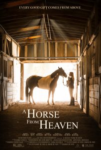 A Horse from Heaven (2018)