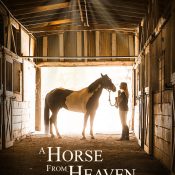 A Horse from Heaven (2018)