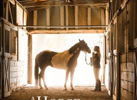 A Horse from Heaven (2018)