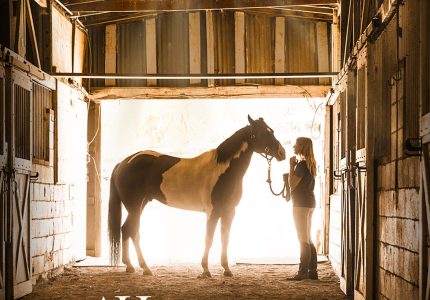 A Horse from Heaven (2018)