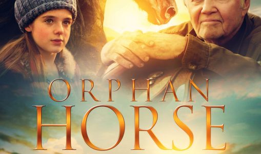 Orphan Horse (2018)