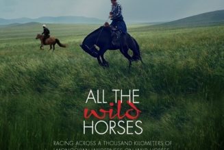 All the Wild Horses (2017)