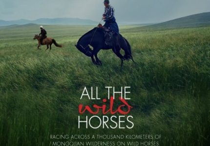All the Wild Horses (2017)