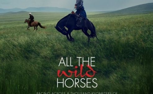 All the Wild Horses (2017)