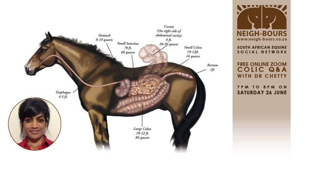 LIVE ZOOM CHAT: Colic Q&A with Dr Thireshni Chetty on 26 June