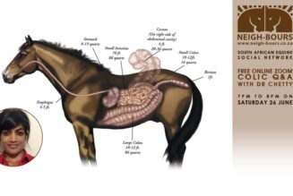 LIVE ZOOM CHAT: Colic Q&A with Dr Thireshni Chetty on 26 June