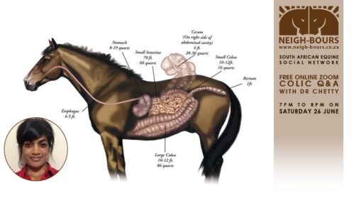 LIVE ZOOM CHAT: Colic Q&A with Dr Thireshni Chetty on 26 June