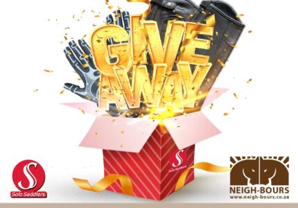 WIN MORE Gaiters & Gloves sponsored by Solo Saddlers!