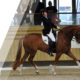 How to watch Equestrian Paralympics: Live & Replays