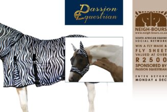 WIN a Fly Mask & Fly Sheet sponsored by Passion Equestrian