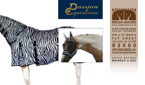 WIN a Fly Mask & Fly Sheet sponsored by Passion Equestrian