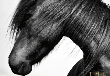 The Horse Encyclopedia – Elwyn Hartley Edwards (2016)