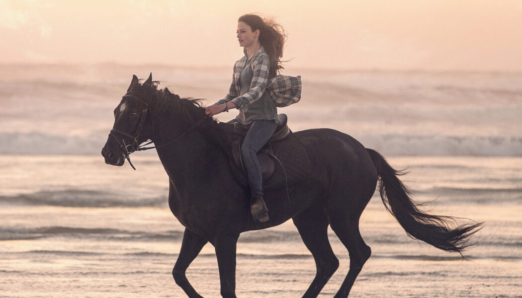 Black Beauty (2020)