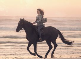 Black Beauty (2020)