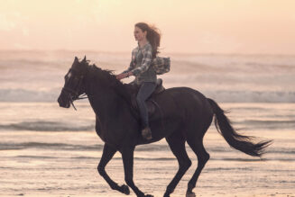 Black Beauty (2020)