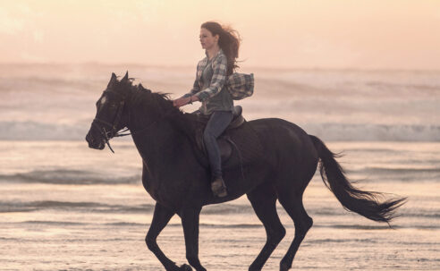 Black Beauty (2020)
