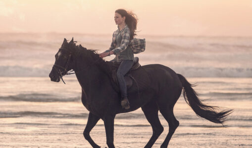 Black Beauty (2020)
